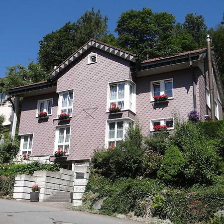 Apartment Barmettlenstrasse 26 By Interhome Engelberg Kültér fotó